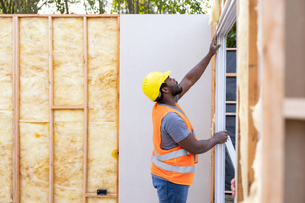 Best Insulation Removal  in Ranson, WV
