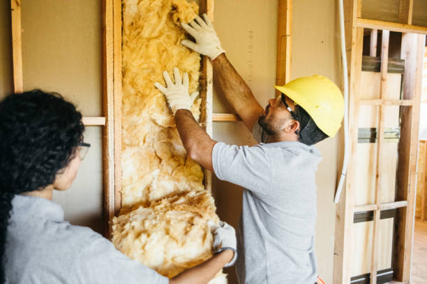 Best Attic Insulation Installation  in Ranson, WV