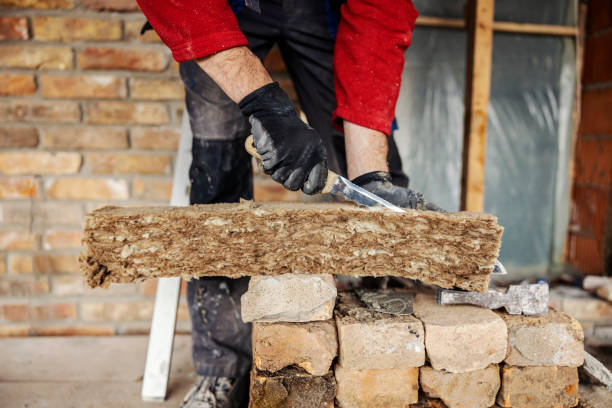 Best Best Insulation Companies  in Ranson, WV