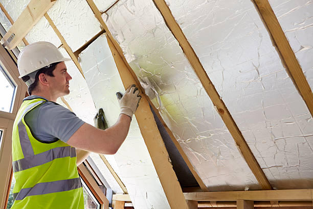 Best Attic Insulation Installation  in Ranson, WV
