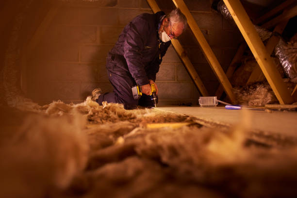 Best Home Insulation Services  in Ranson, WV